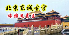 插骚逼视频三中国北京-东城古宫旅游风景区
